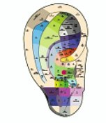 Reflexná mapa ucha