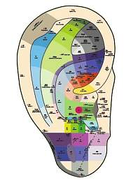 Reflexná mapa ucha