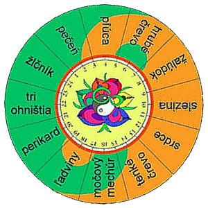 Orgánové hodiny