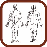 Body a dráhy z pohľadu Tradičnej čínskej medicíny